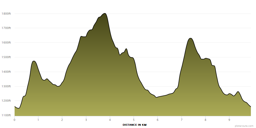 Elevation profile of the official 10K route showing three main climbs.